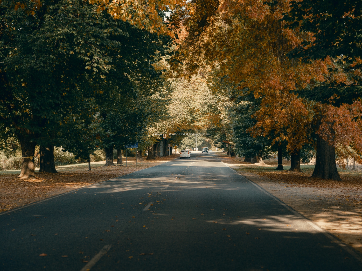 Autumn in bright victoria australiadscf9155