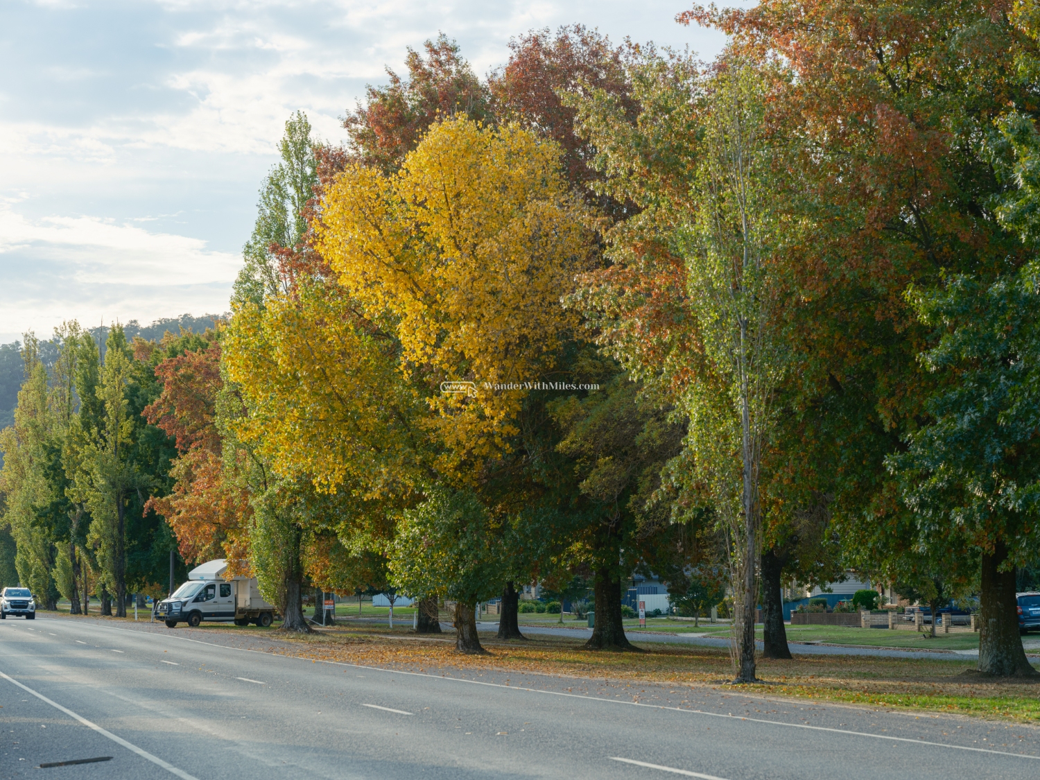 Autumn in bright victoria australiadscf9252