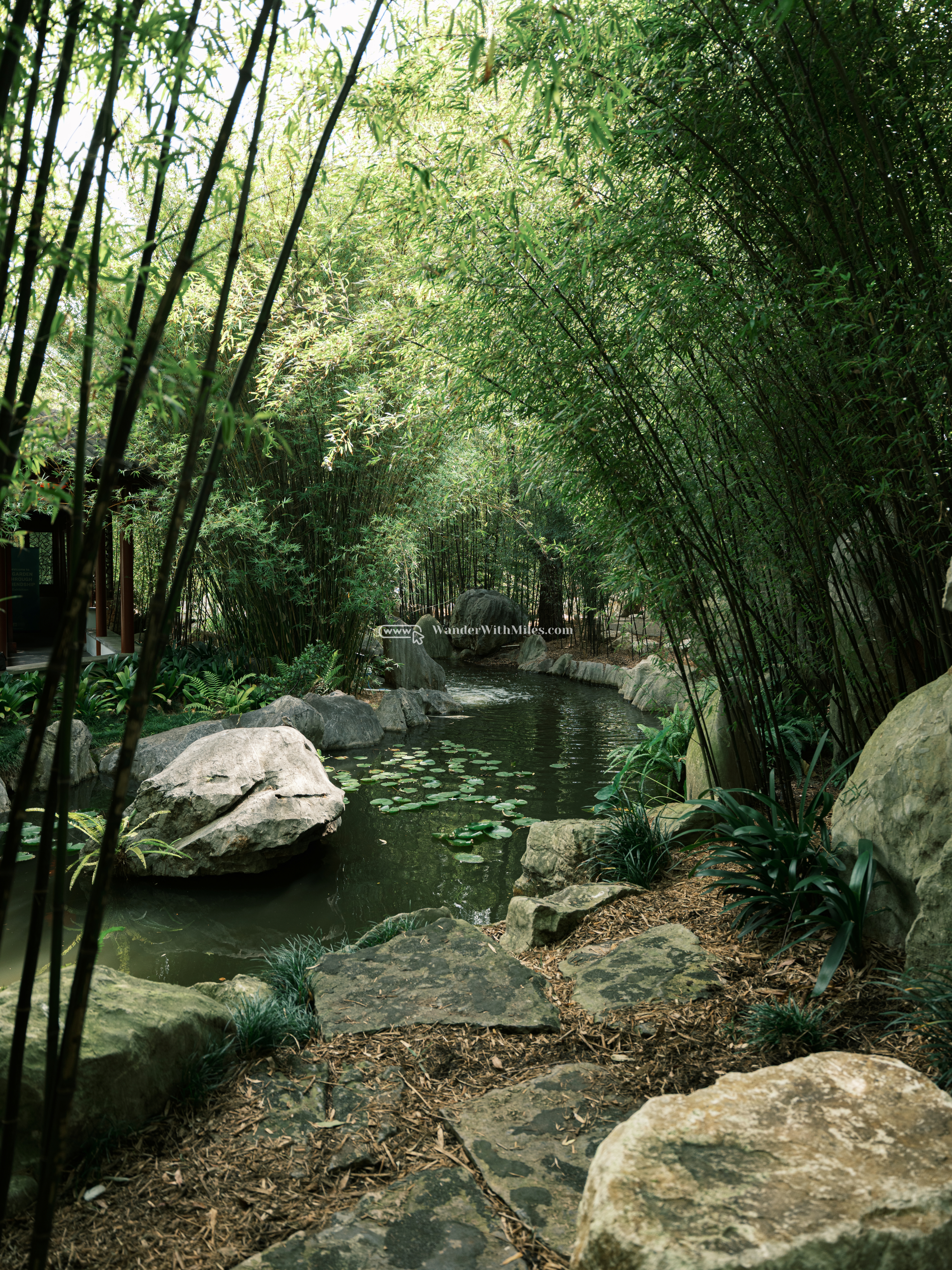 Sydney australiadscf0708