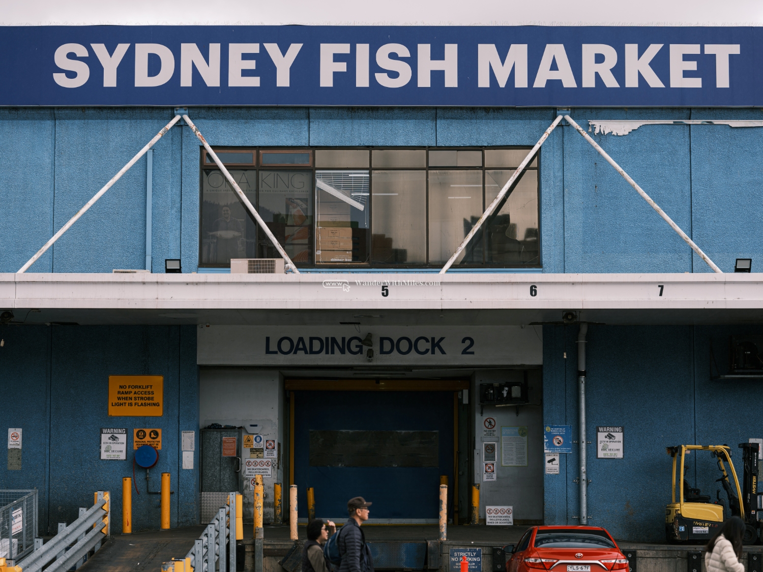 Sydney australiadscf7965