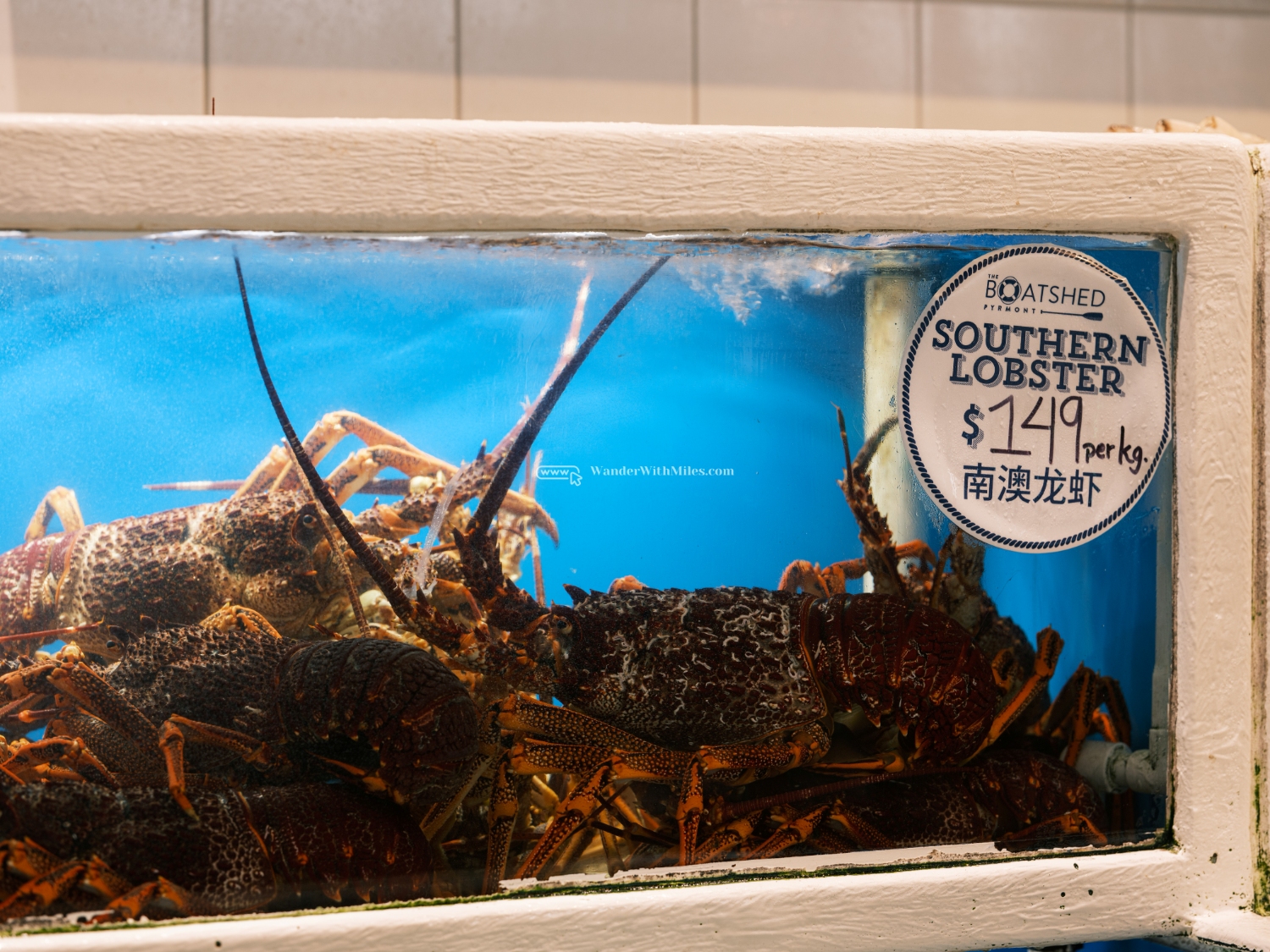 Sydney australiadscf7966