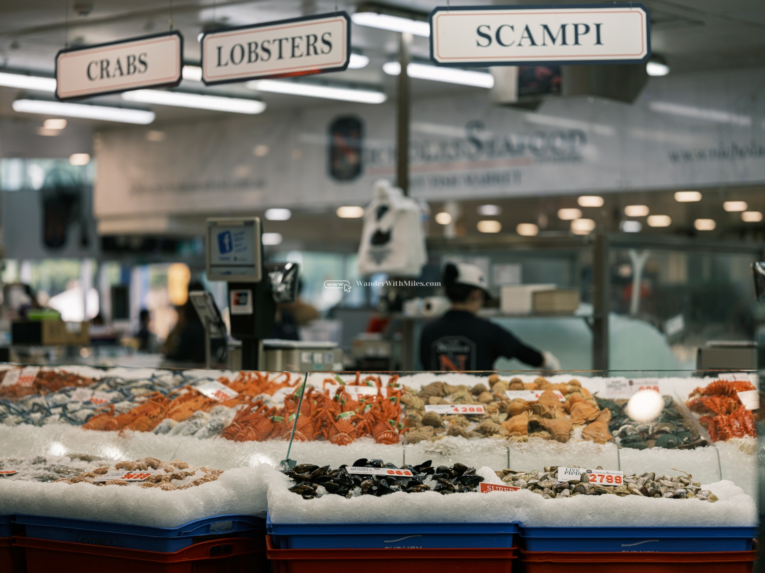 Sydney australiadscf7971