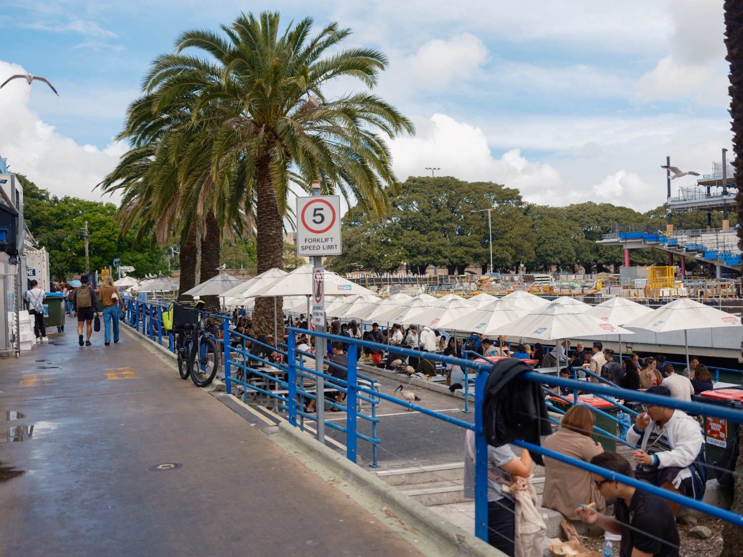 Sydney australiadscf7982