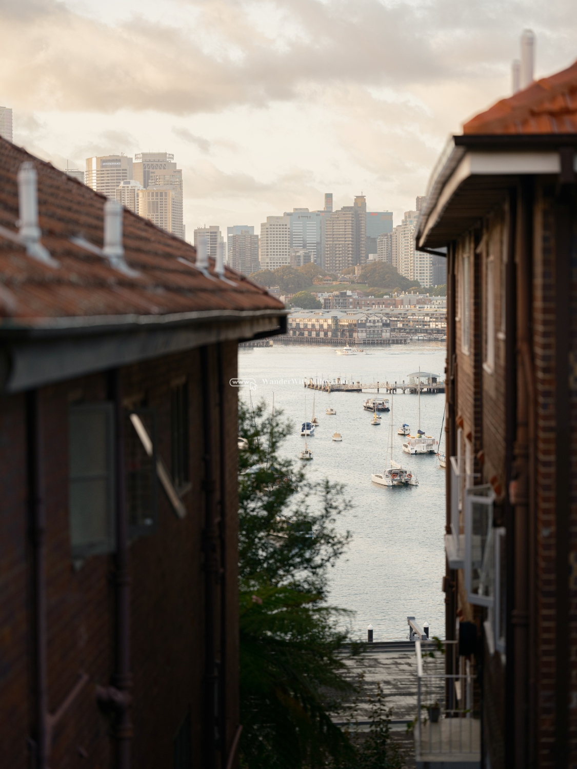 Sydney australiadscf9009