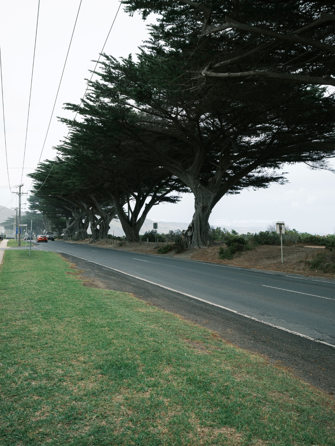 Apolo bay victoria (1)