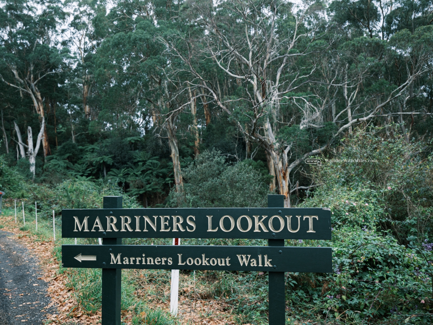 Apolo bay victoria (3)