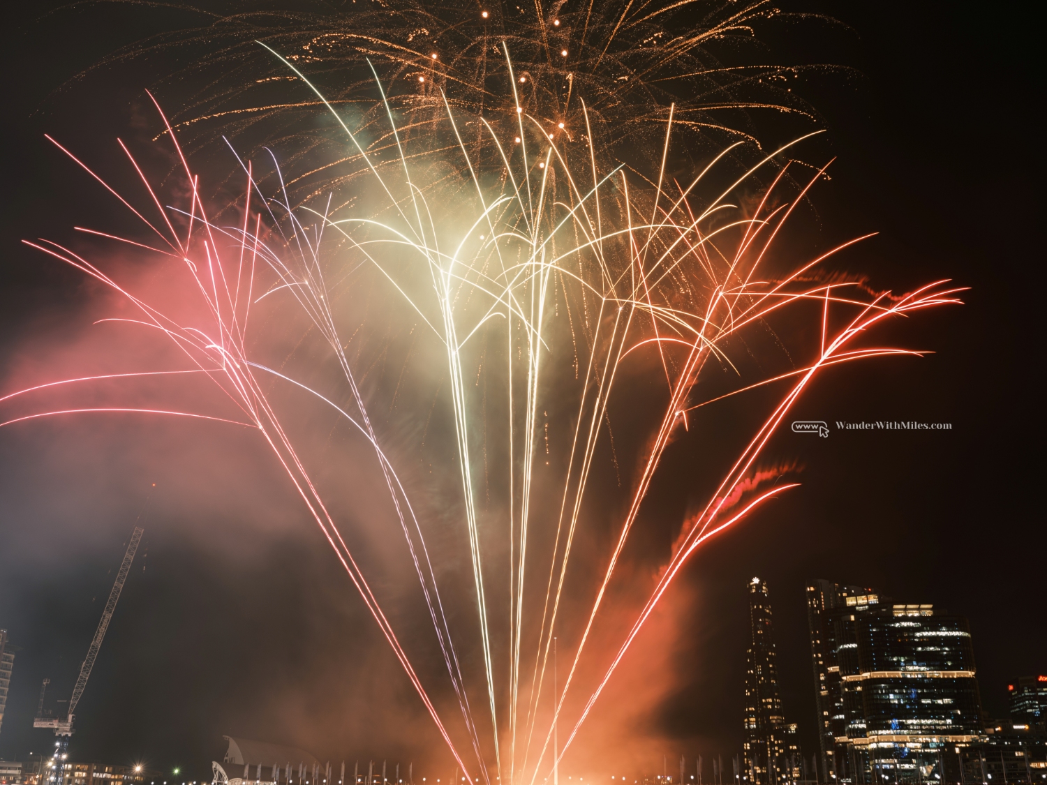 Fire work darling habourdscf9379