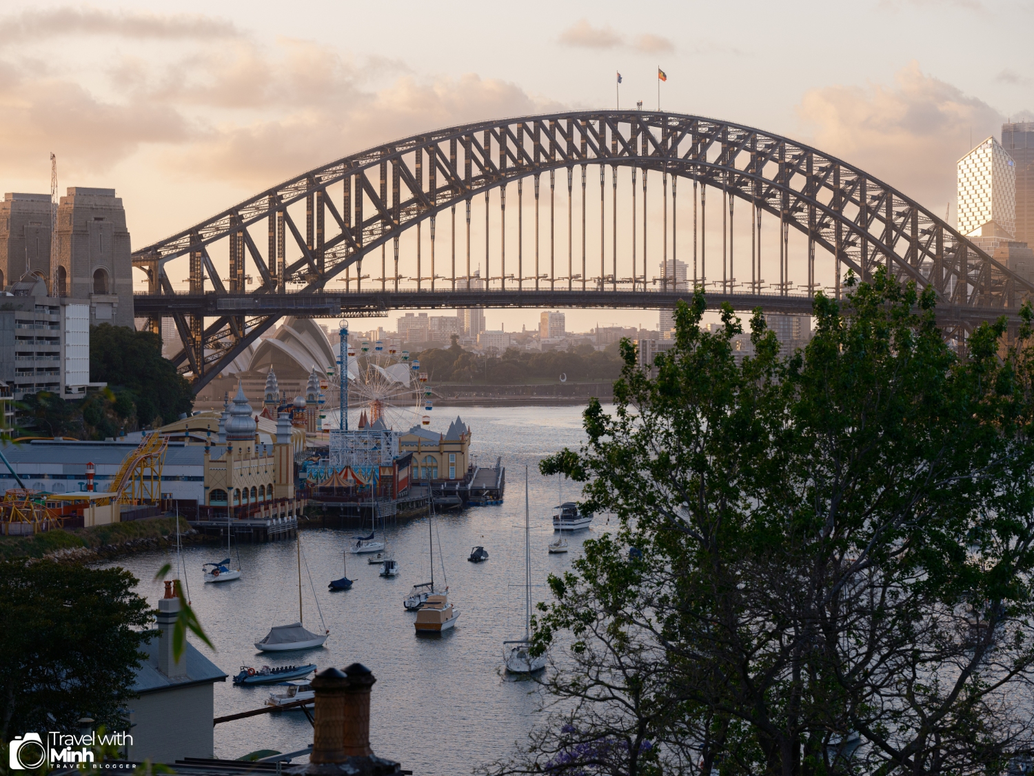 Jacaranda in sydneydscf9004