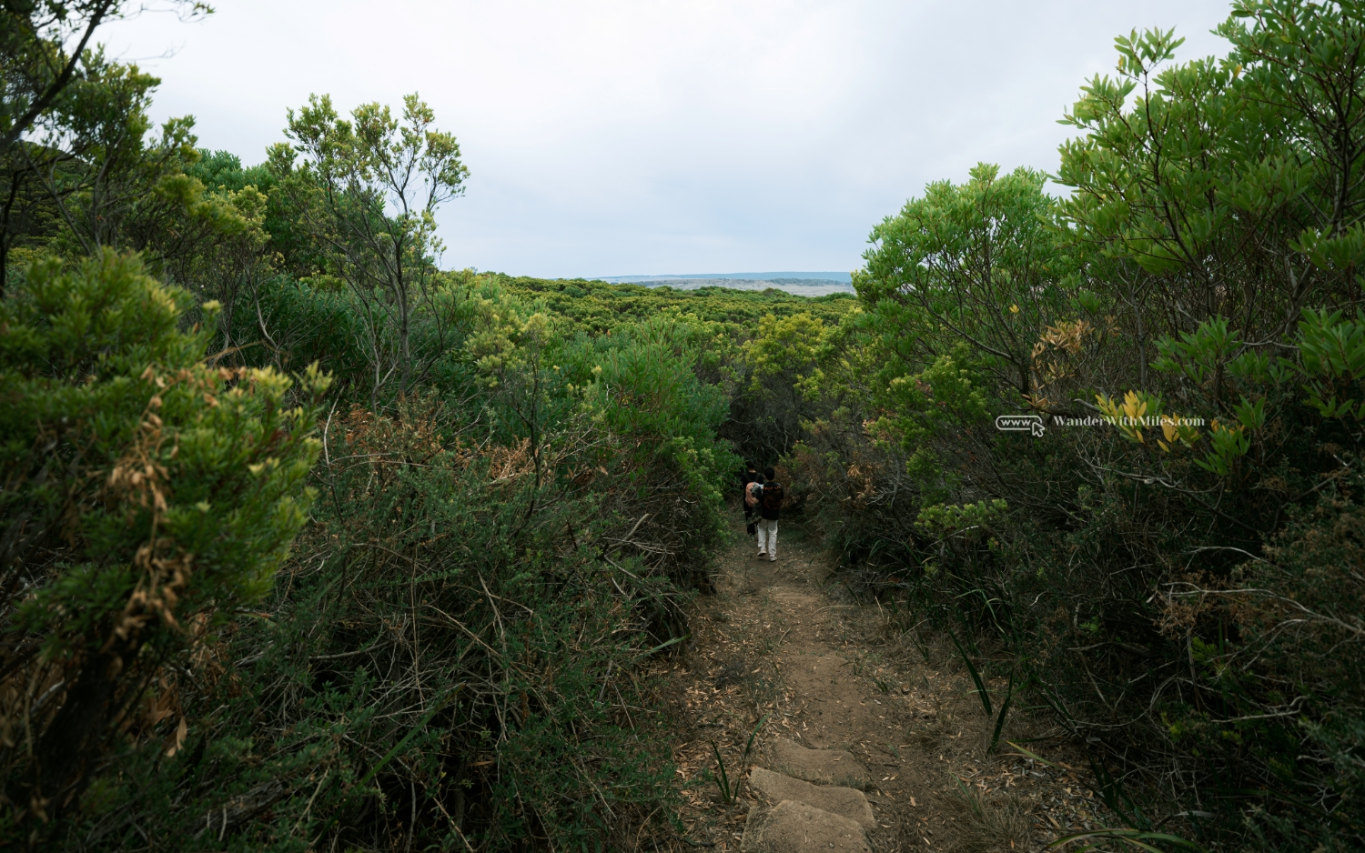 The great ocean walk victoria (11)