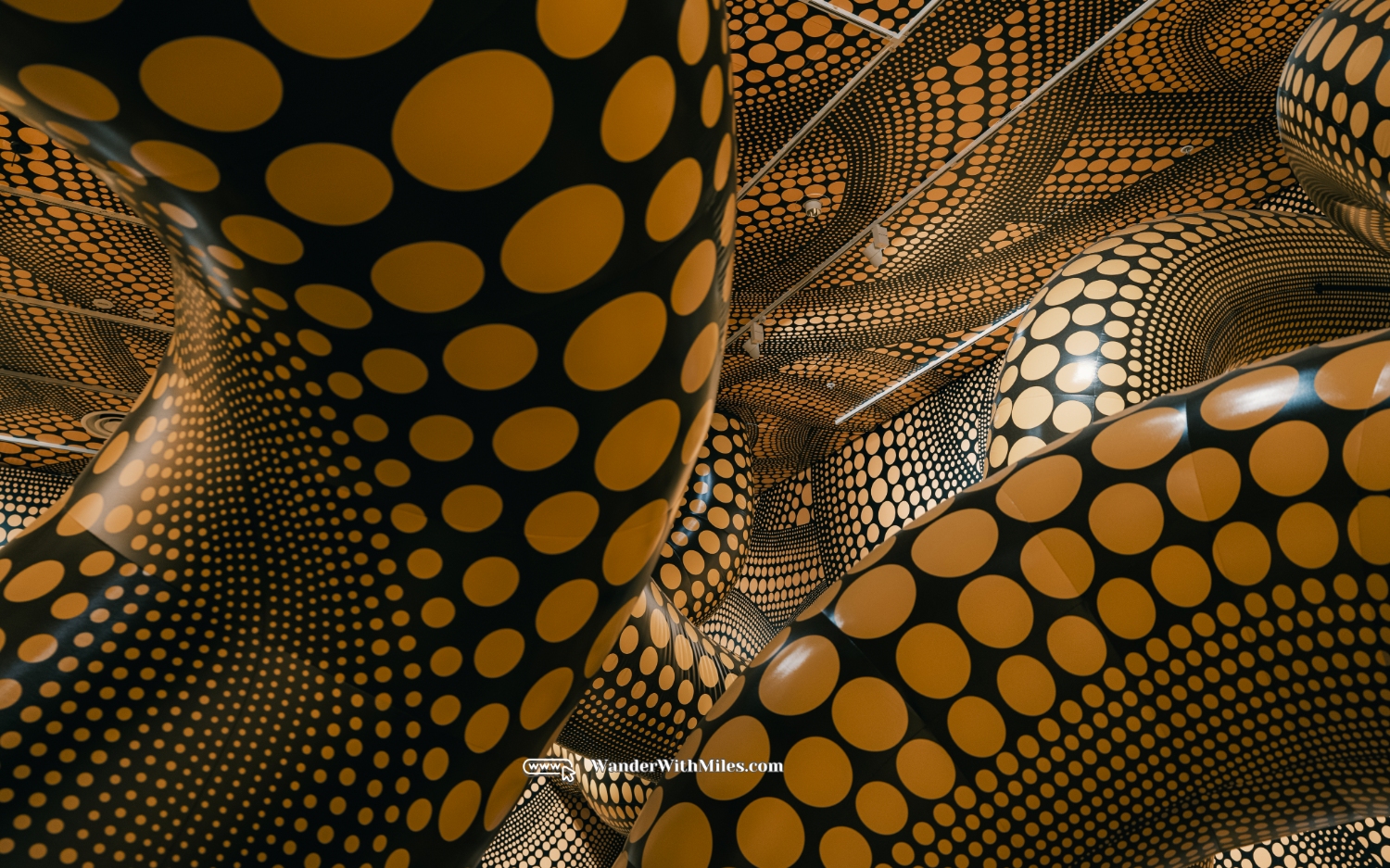 National gallery of victoria melbourne australia (25)