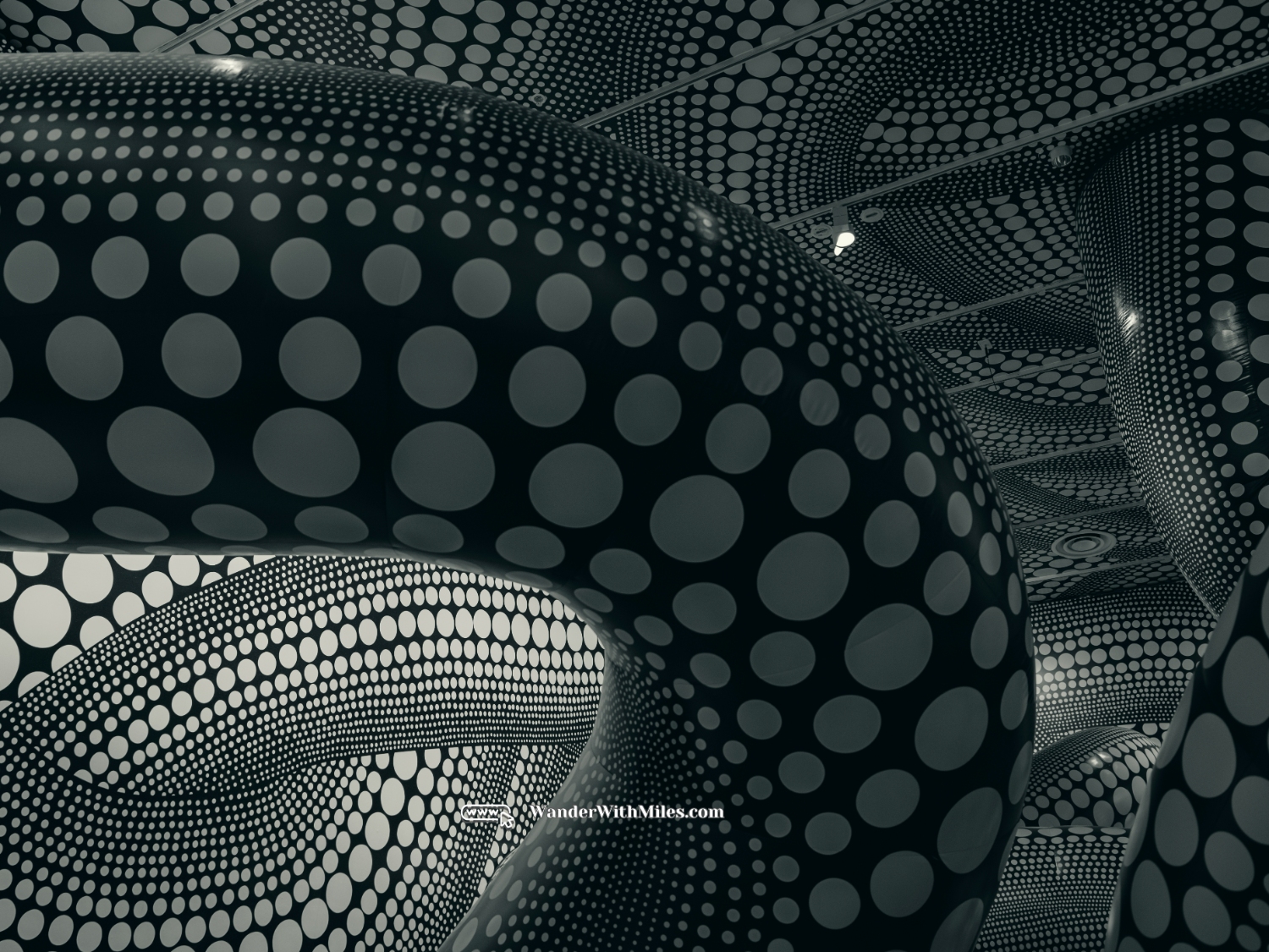 National gallery of victoria melbourne australia (26)