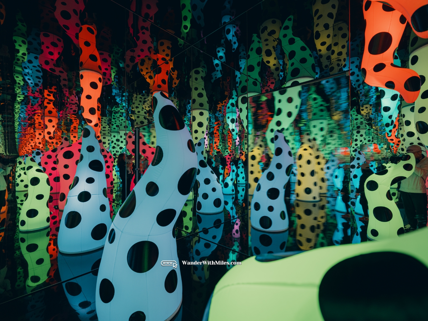 National gallery of victoria melbourne australia (31)