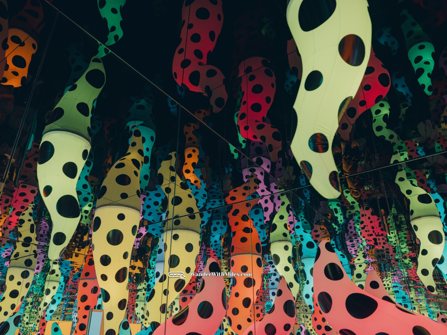 National gallery of victoria melbourne australia (50)