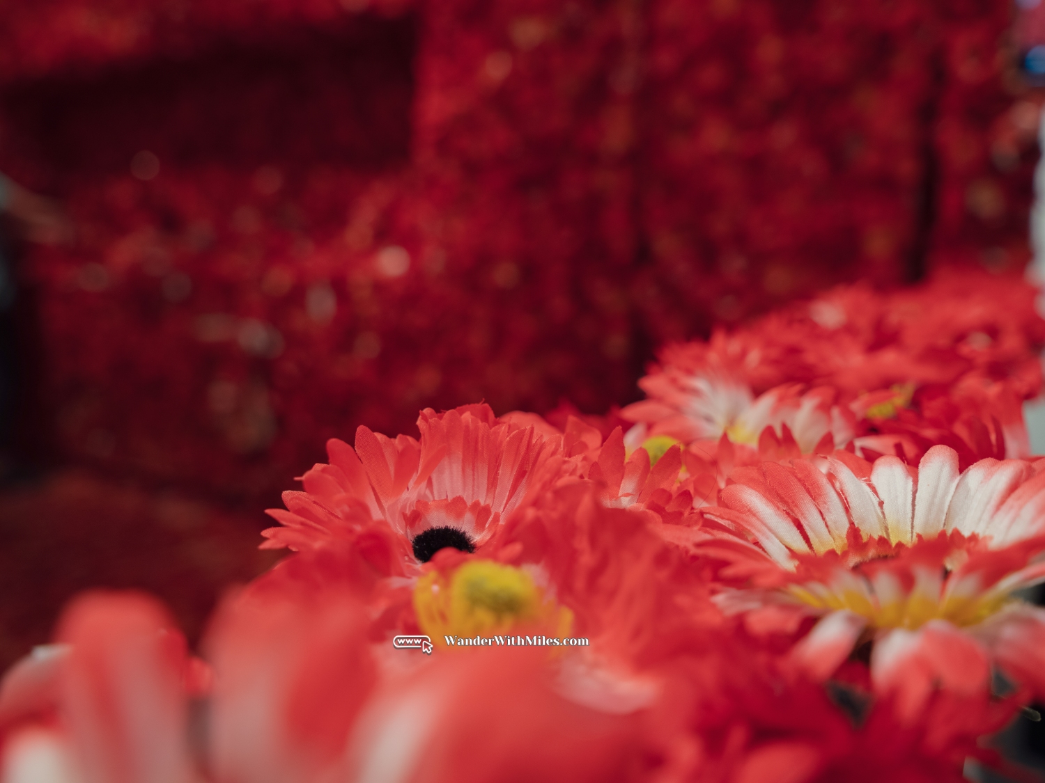 National gallery of victoria melbourne australia (52)