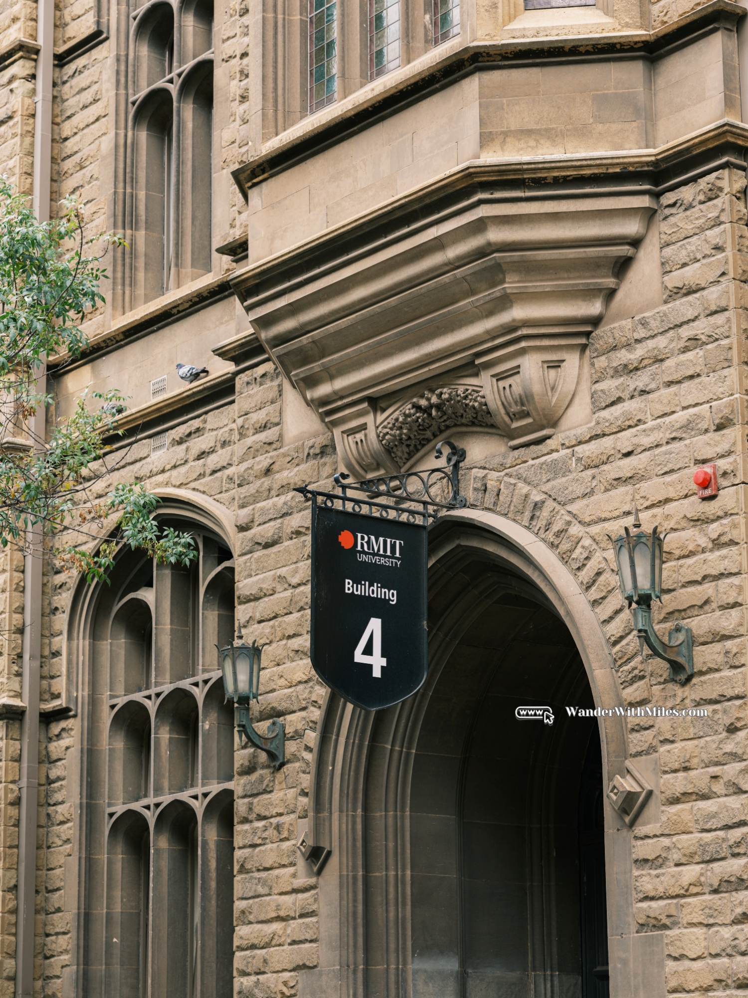 Rmit universitydscf1507