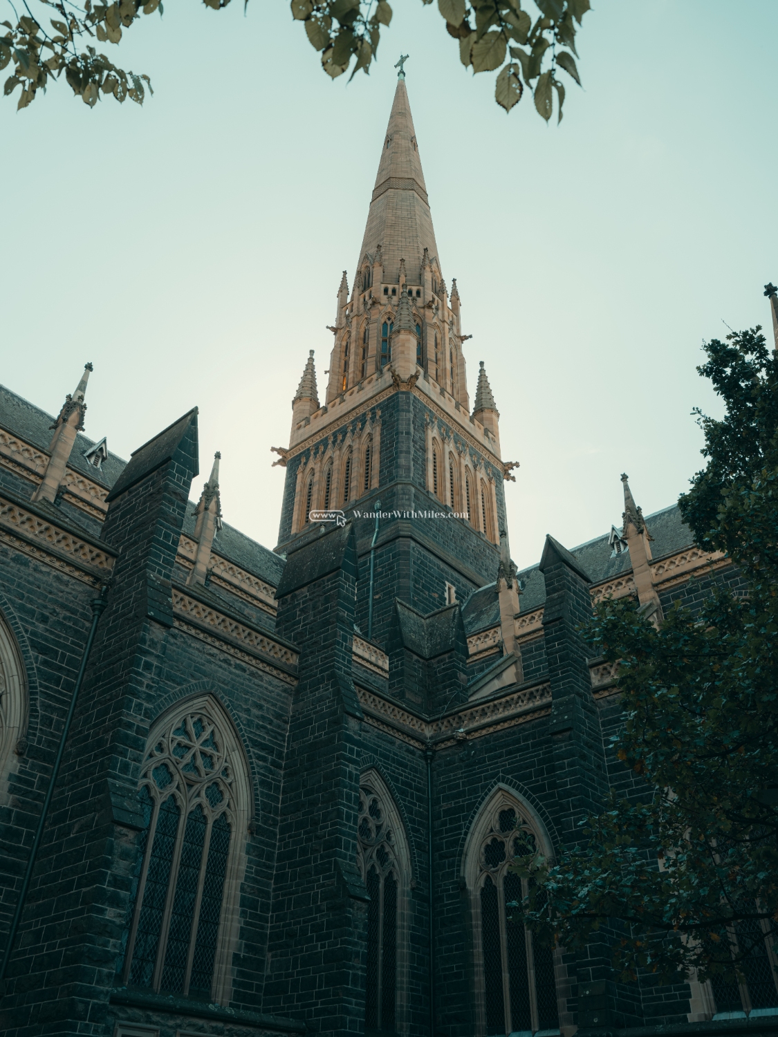 St patrick cathedral melbourne australia (106)