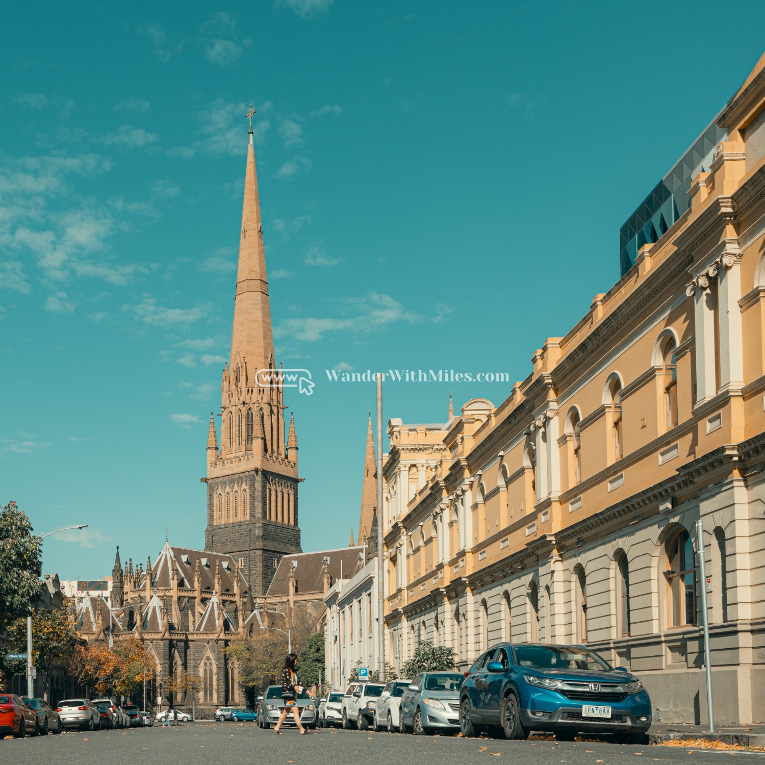 St patrick cathedral melbourne australia (20)