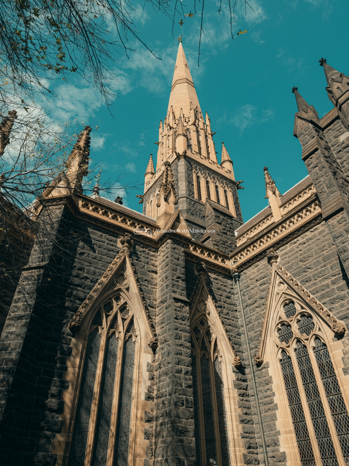 St patrick cathedral melbourne australia (29)