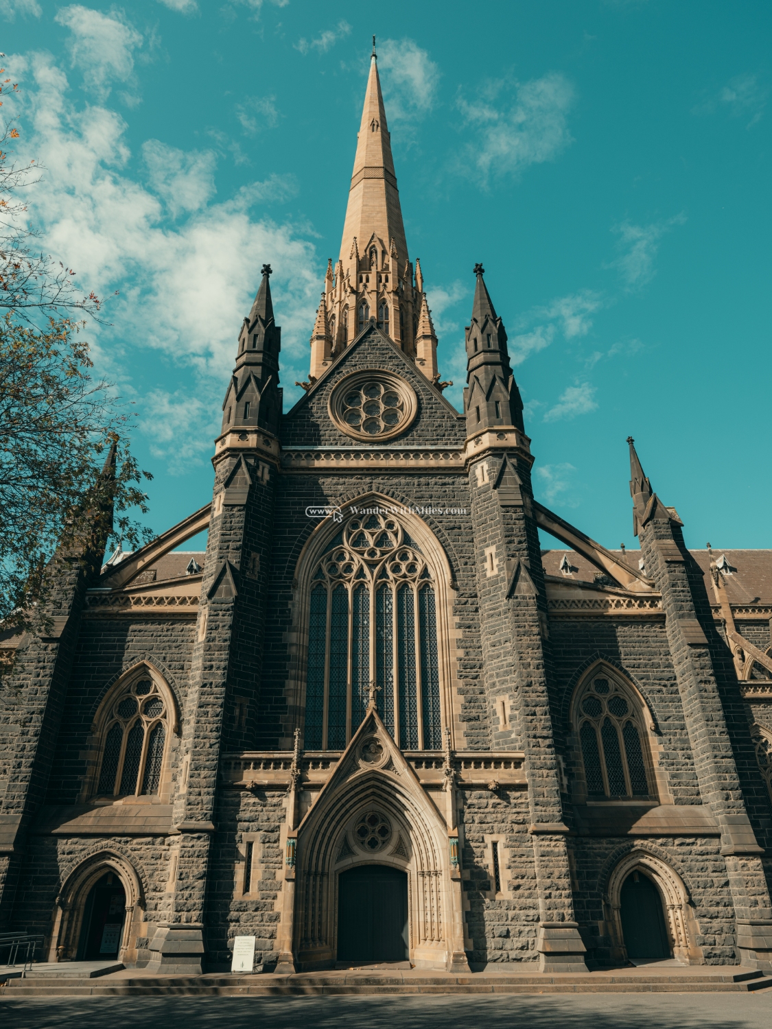 St patrick cathedral melbourne australia (32)