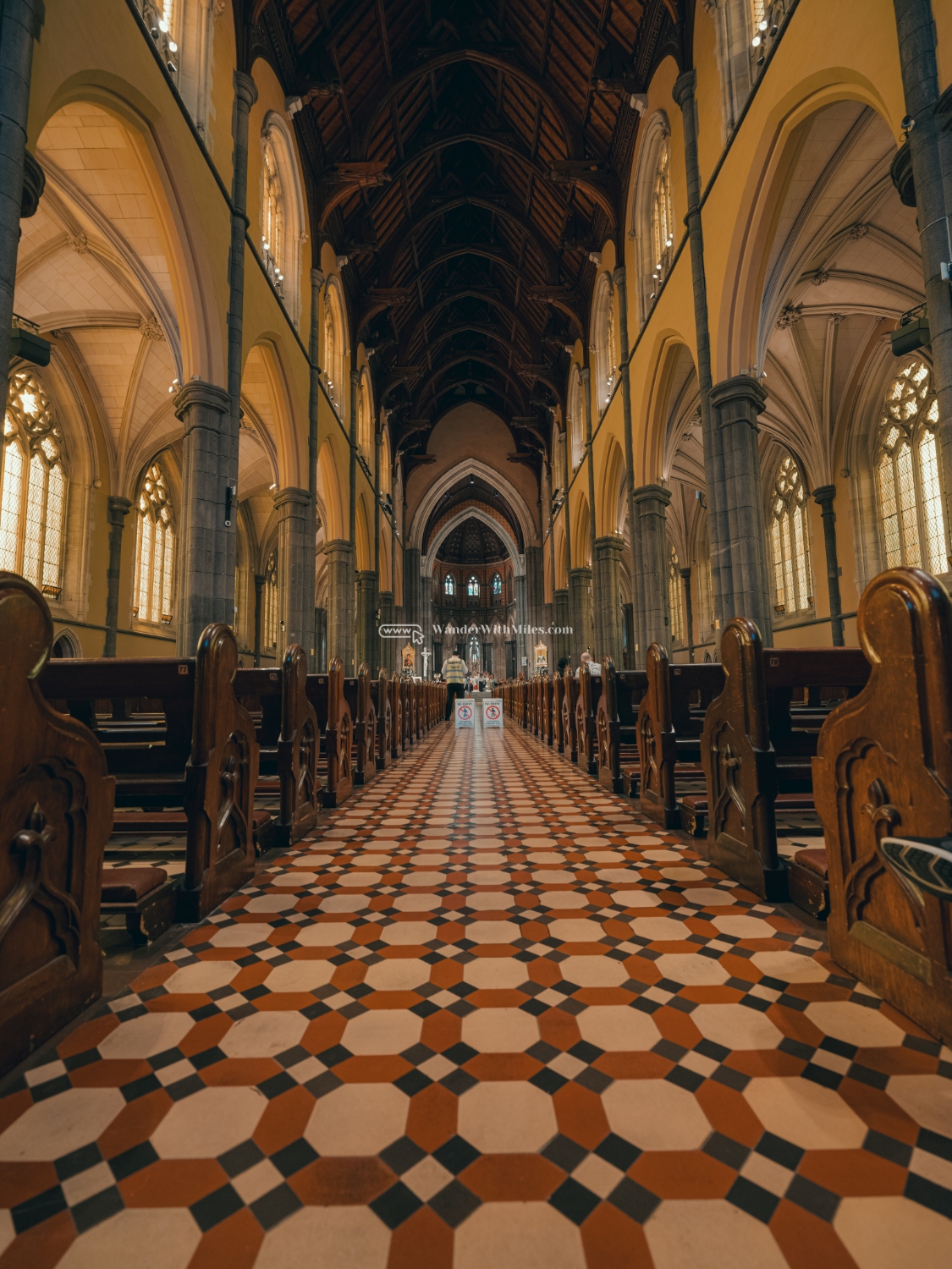 St patrick cathedral melbourne australia (45)