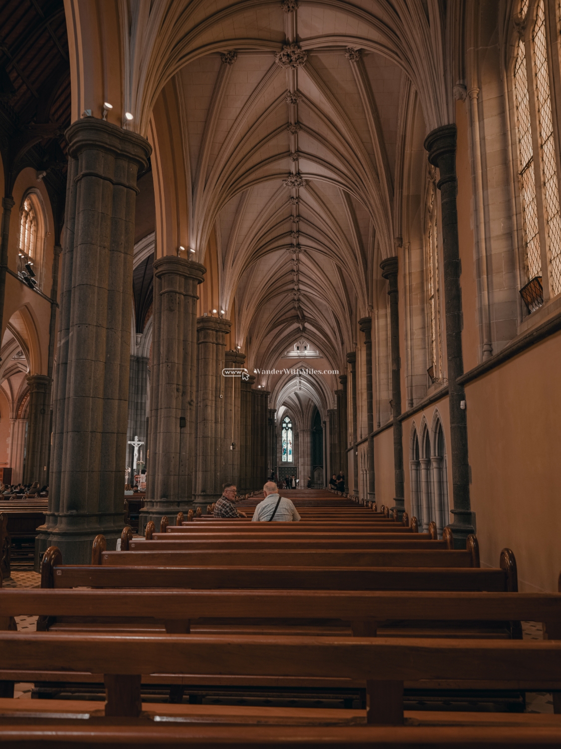 St patrick cathedral melbourne australia (49)