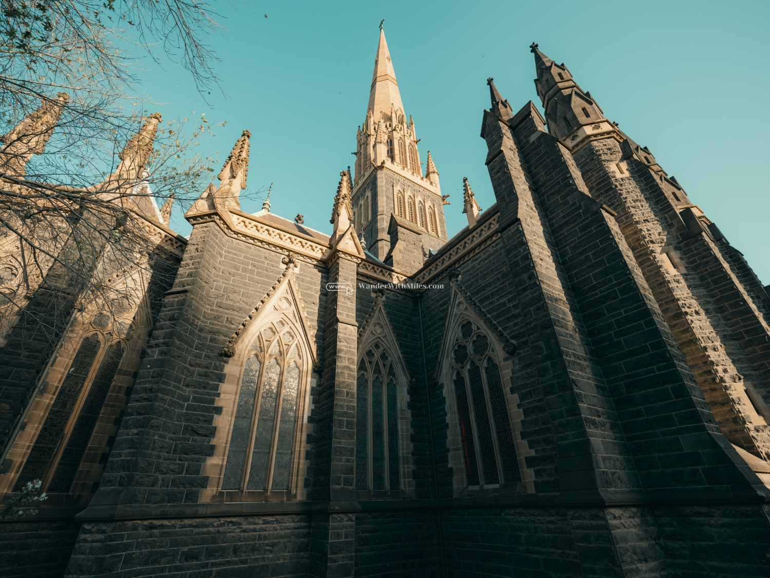 St patrick cathedral melbourne australia (5)