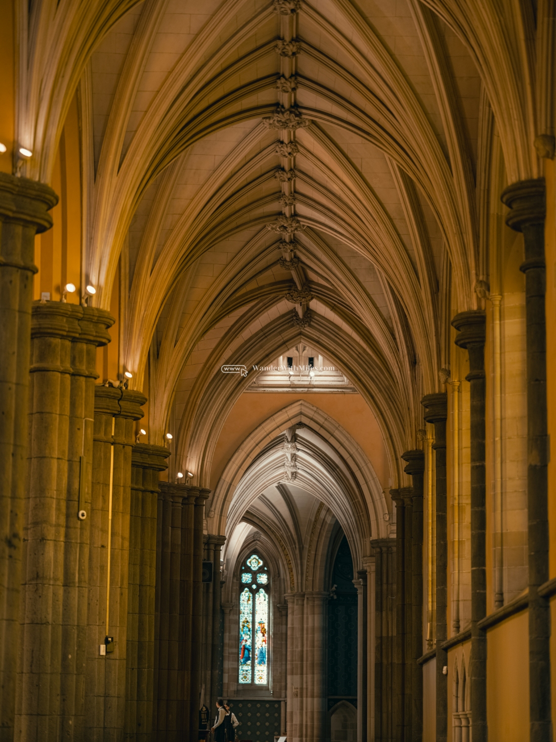 St patrick cathedral melbourne australia (52)