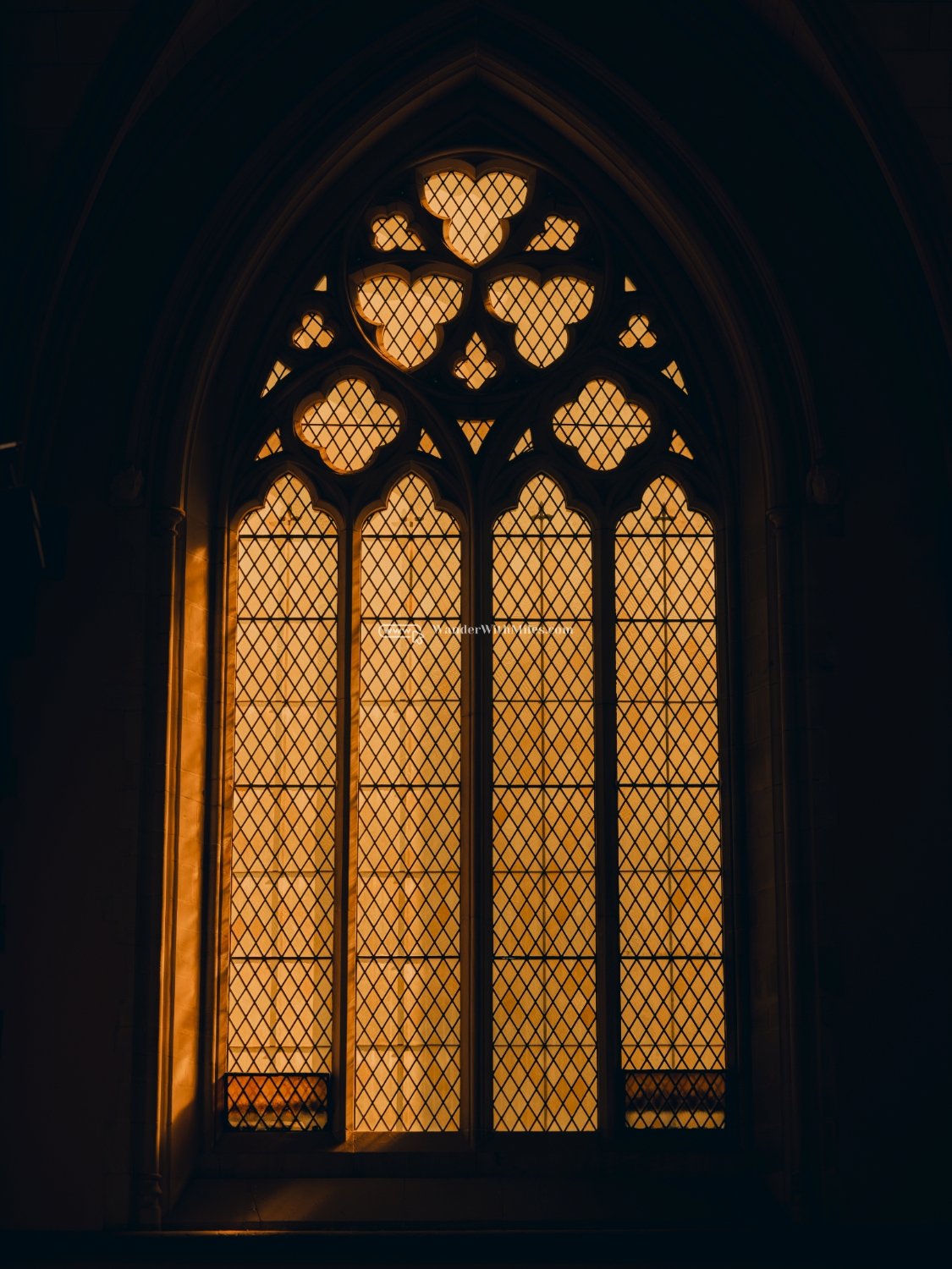 St patrick cathedral melbourne australia (55)