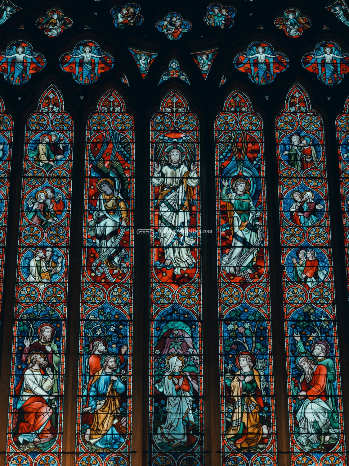 St patrick cathedral melbourne australia (57)