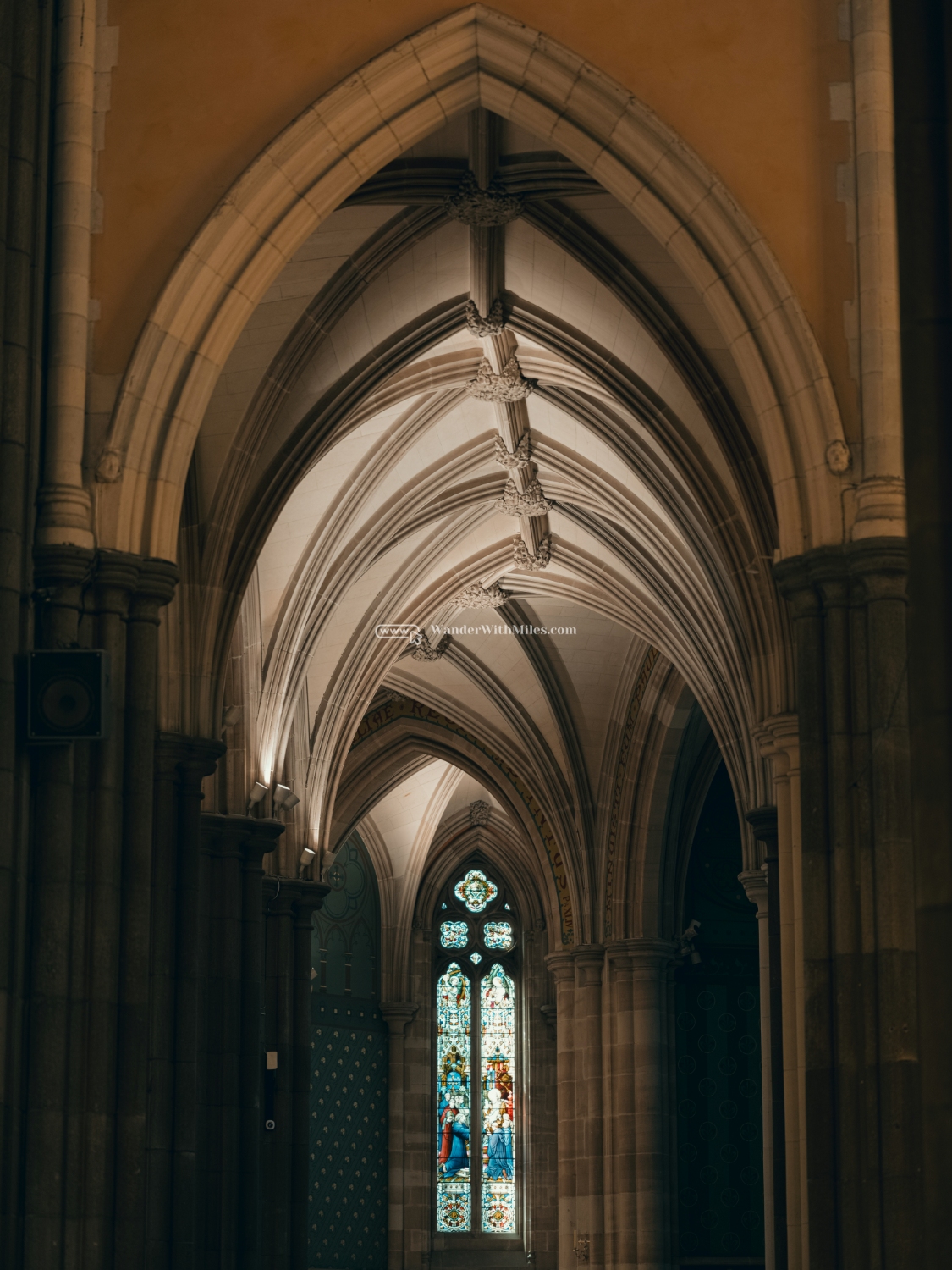 St patrick cathedral melbourne australia (59)