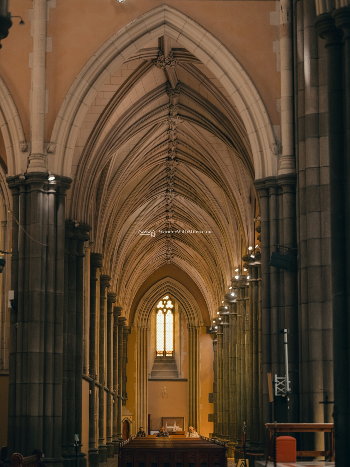 St patrick cathedral melbourne australia (62)