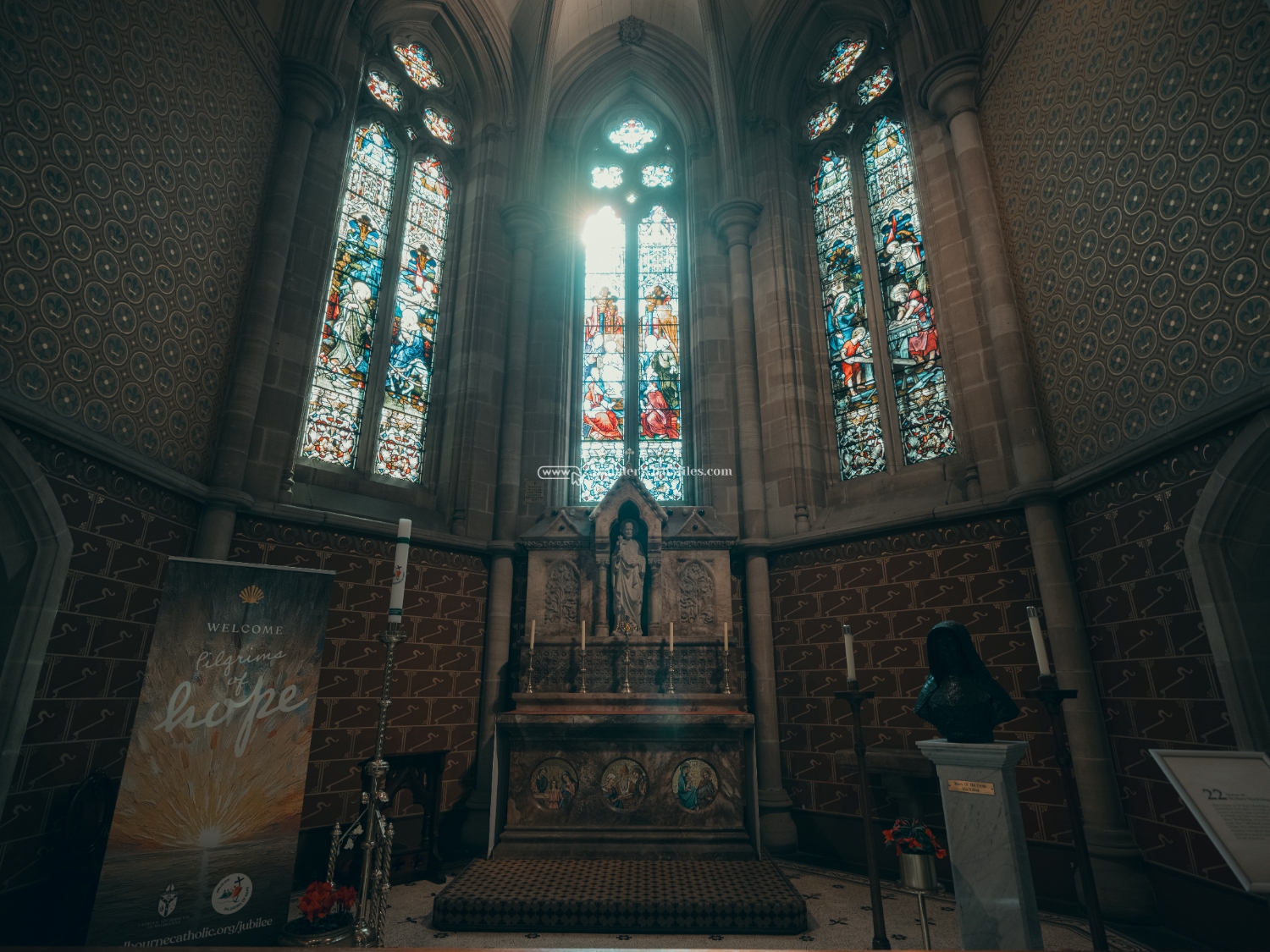 St patrick cathedral melbourne australia (85)