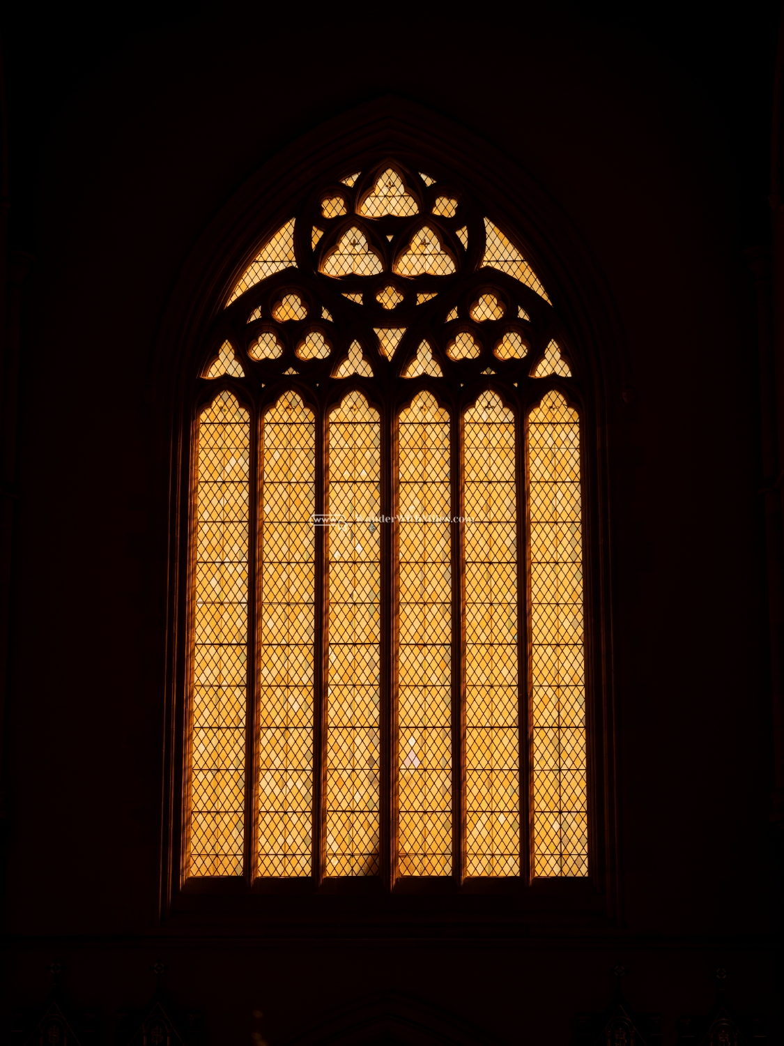 St patrick cathedral melbourne australia (96)