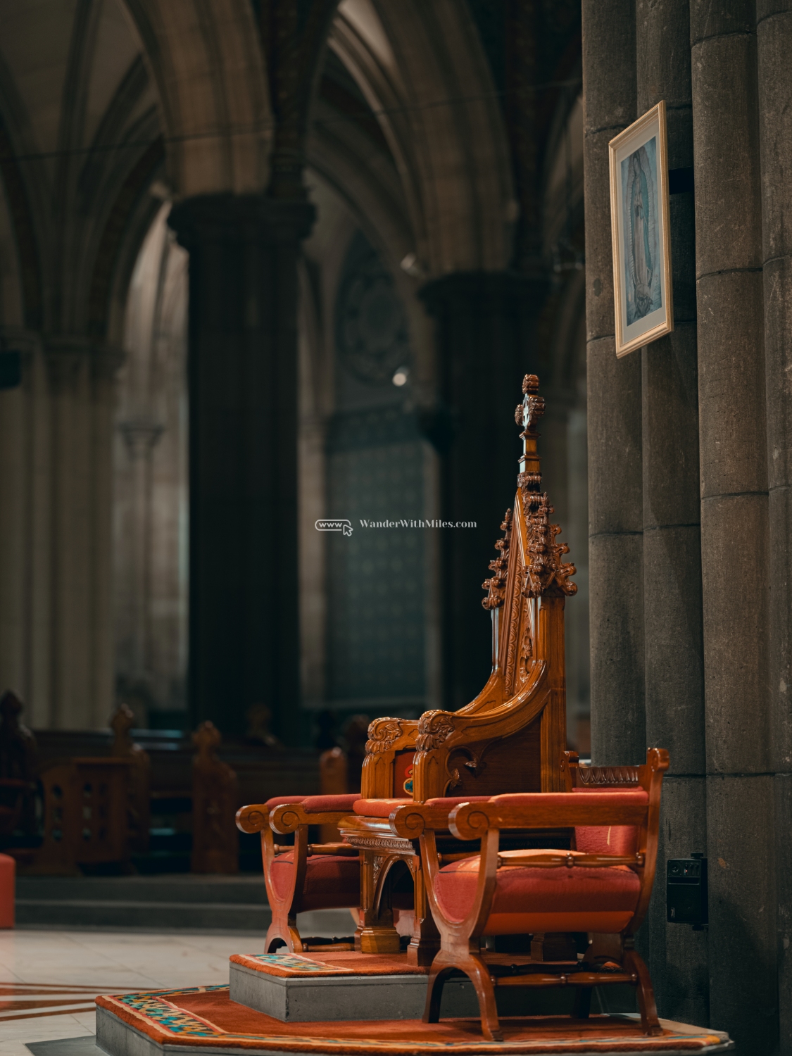 St patrick cathedral melbourne australia (98)