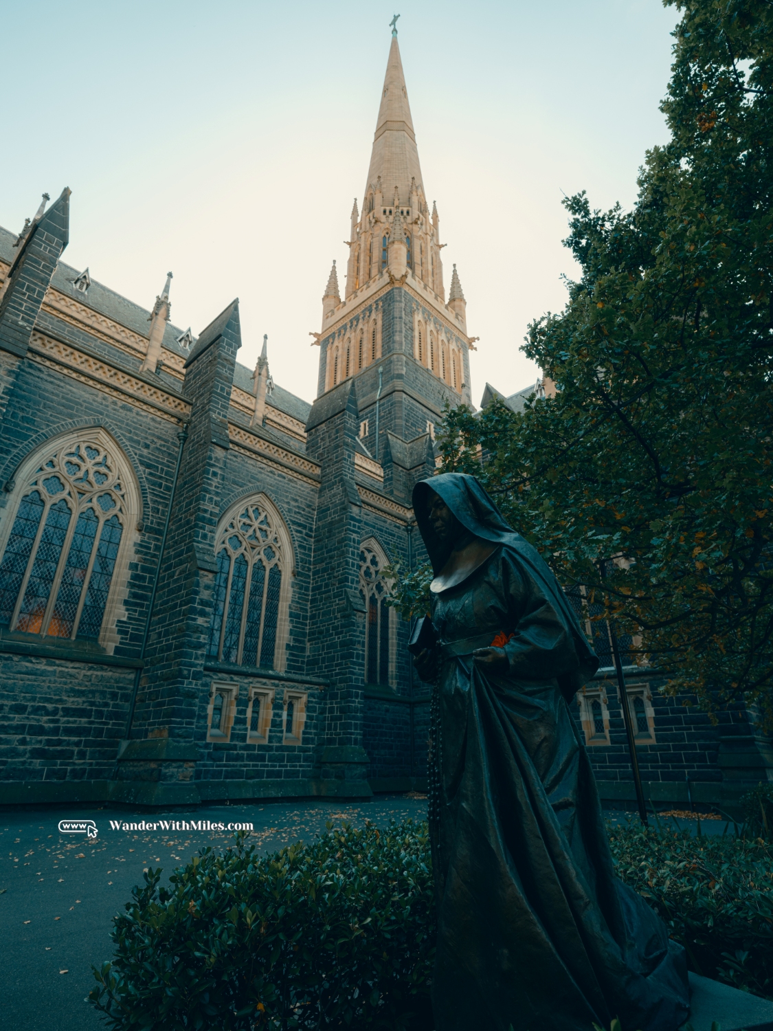 St patrick cathedral melbournedscf3864