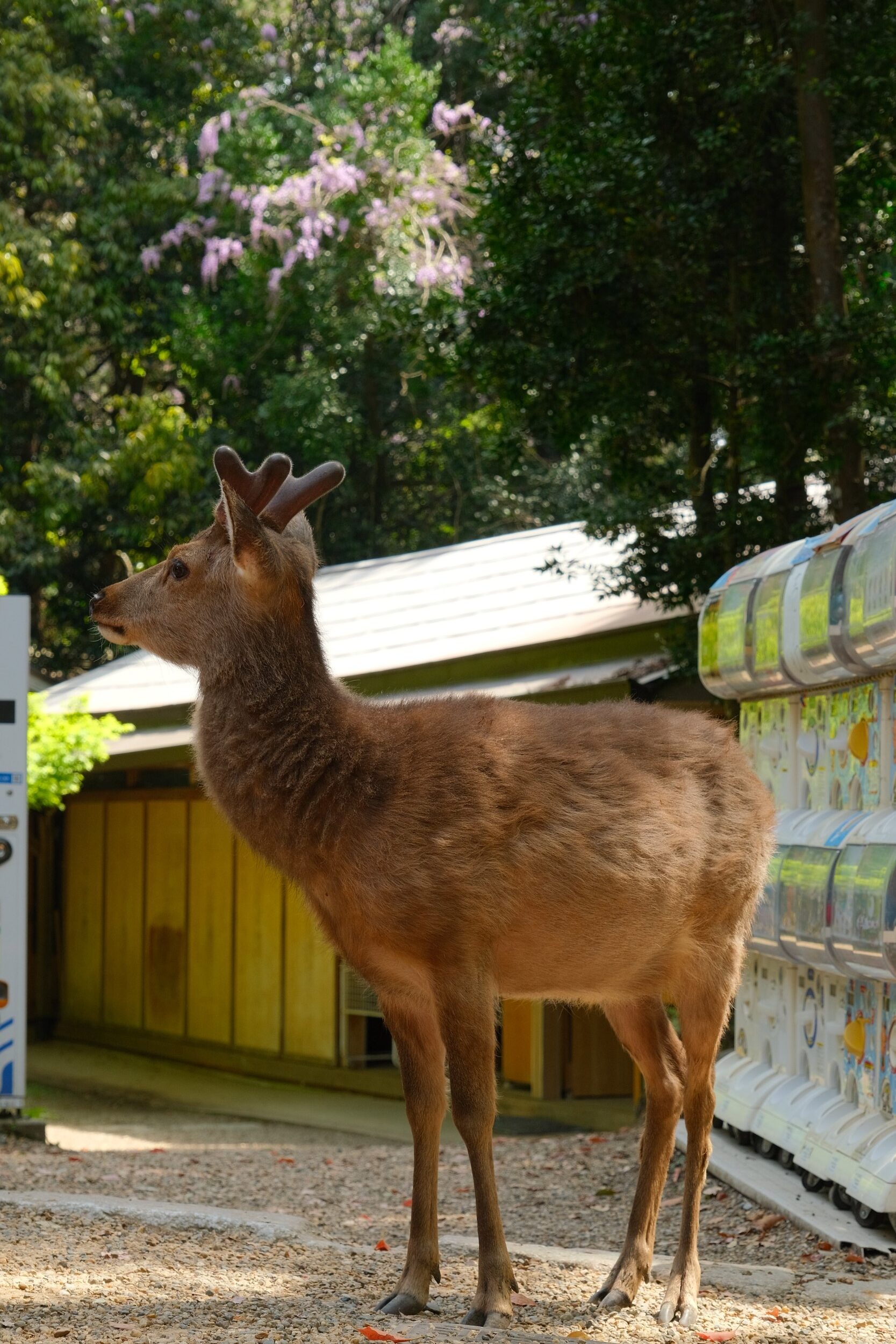 2023 04 23 11 19 dscf6020