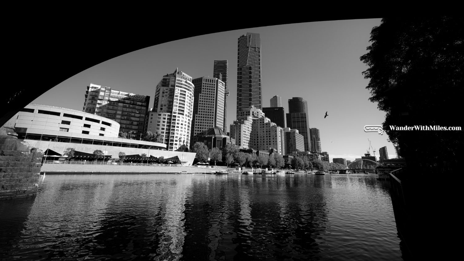 Cbd south bank (3)