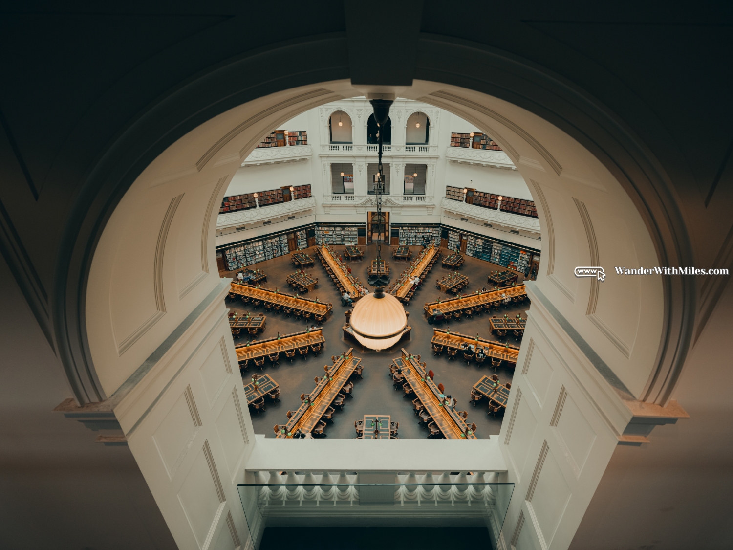 Cbd state library (8)