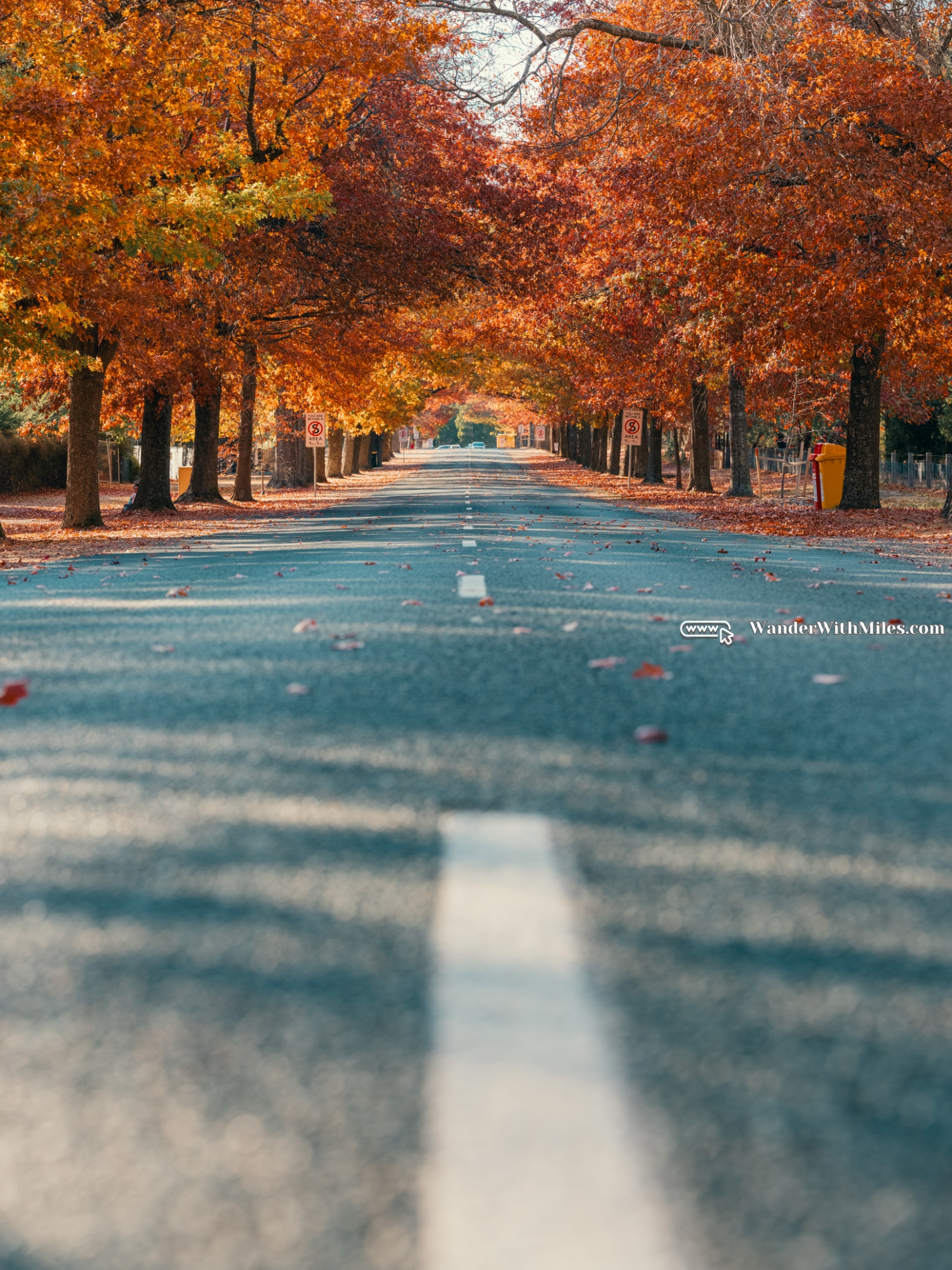 Maccedon avenue melbournedscf3339