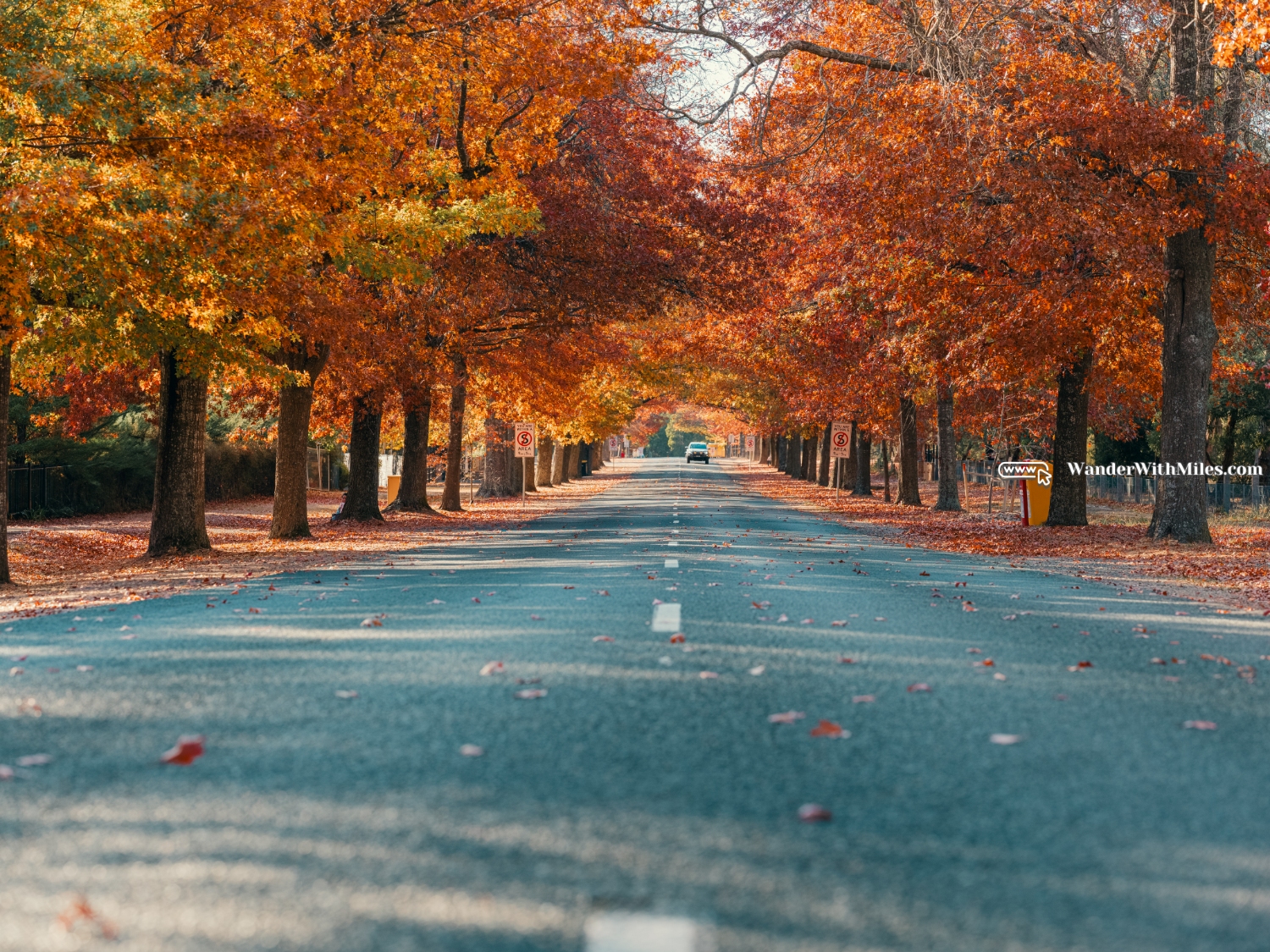 Maccedon avenue melbournedscf3340