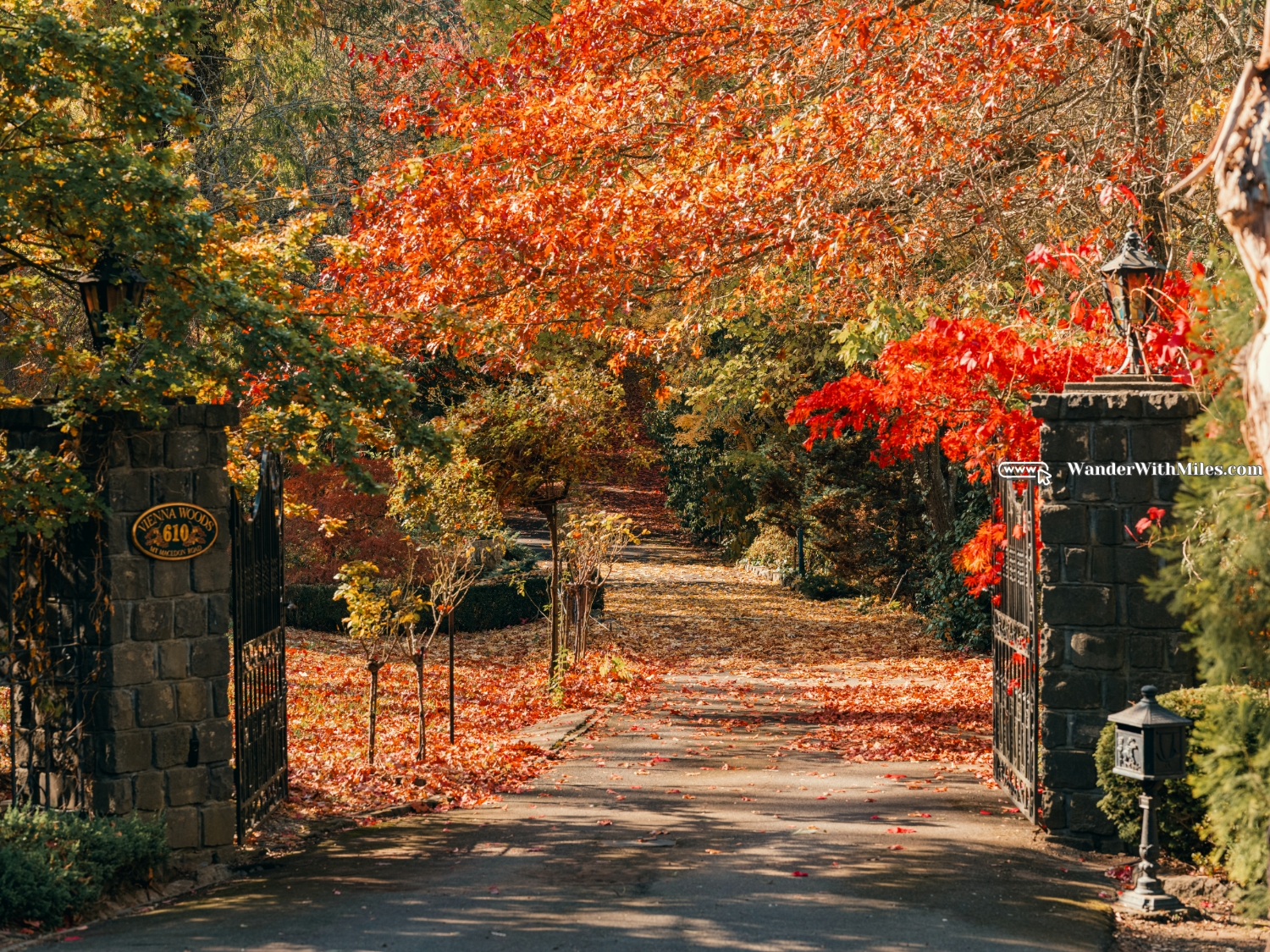 Maccedon avenue melbournedscf3390