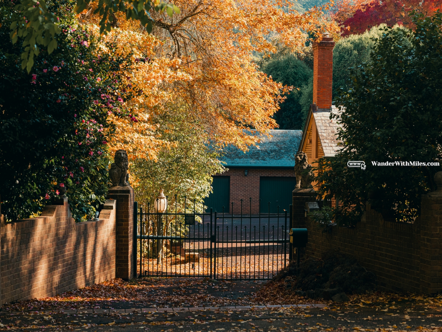 Maccedon avenue melbournedscf3399