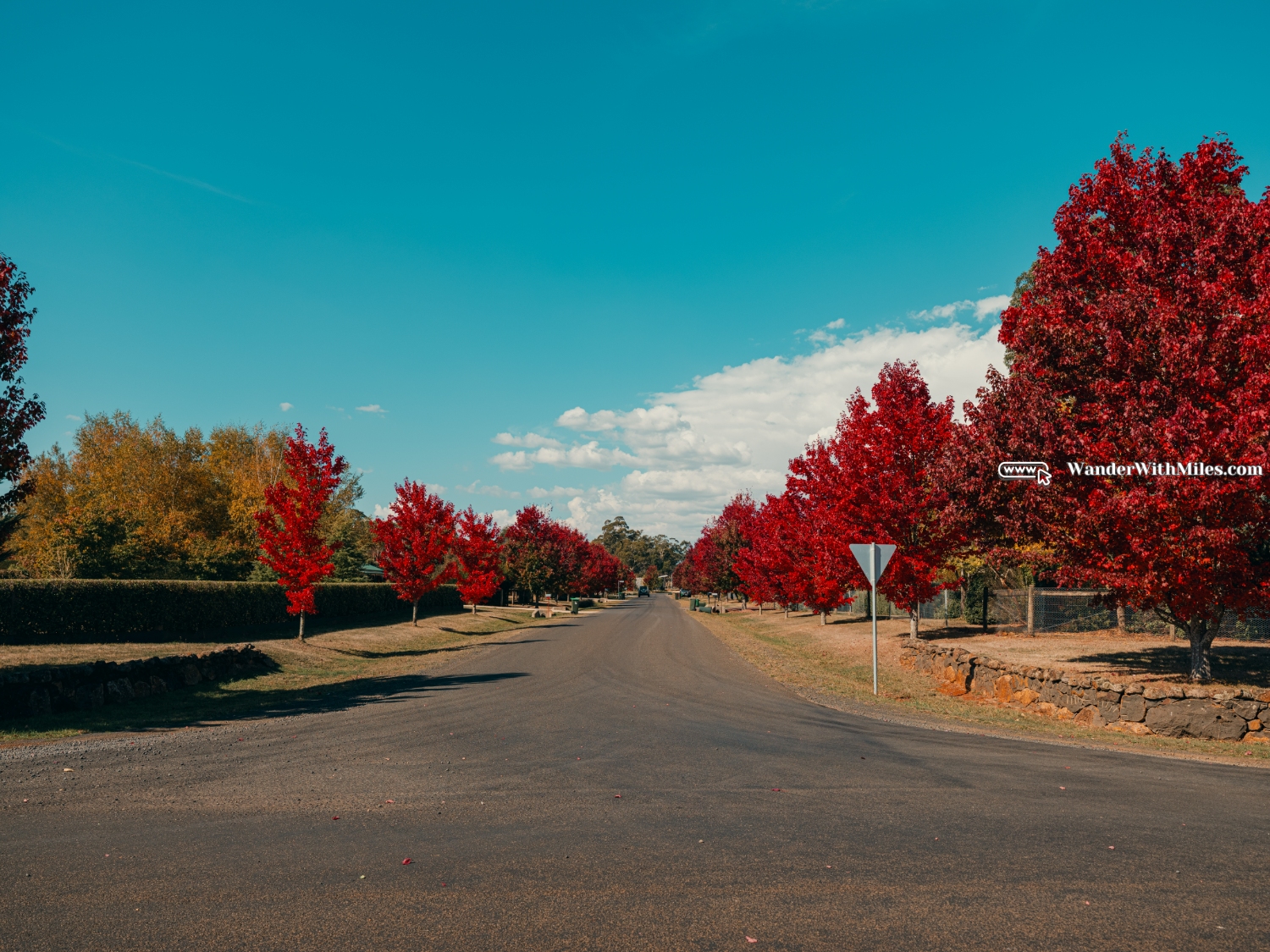 Maccedon avenue melbournedscf3426