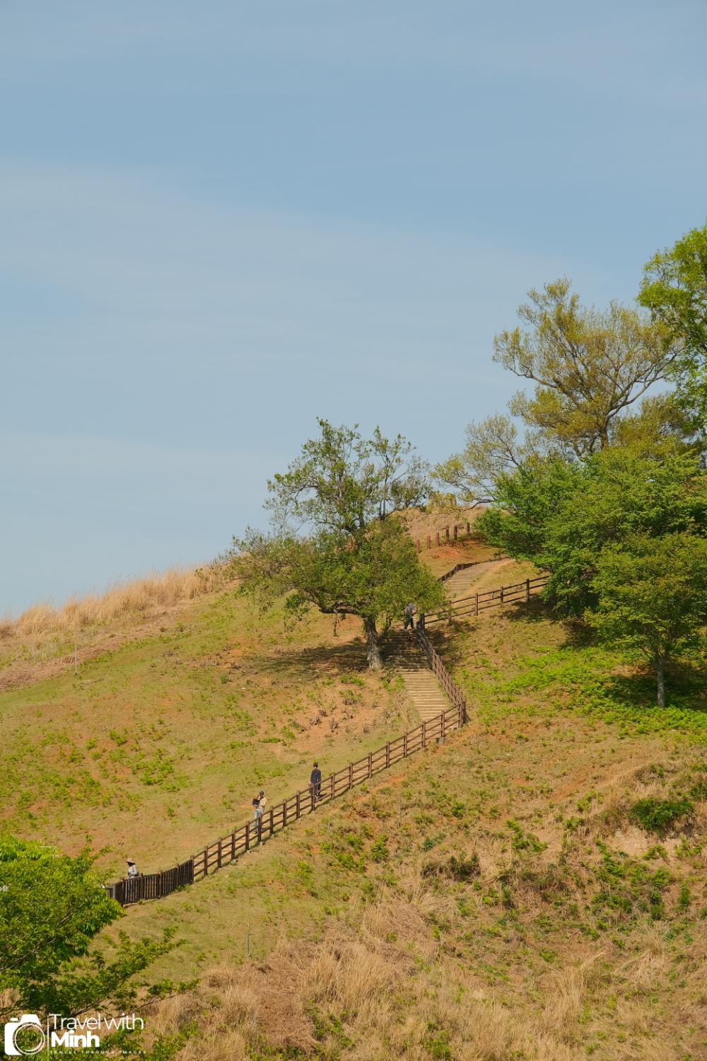 One day in nara (15)