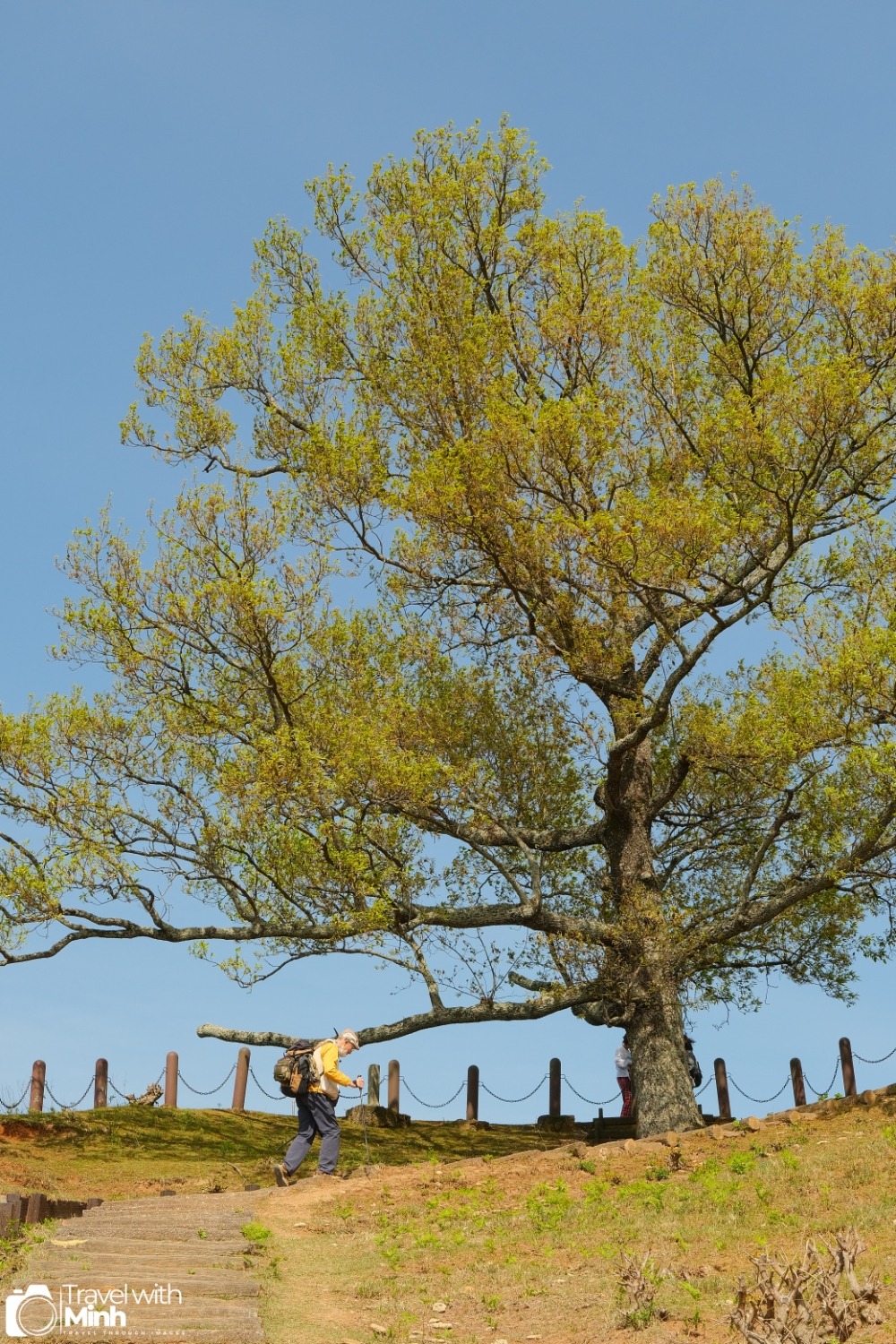 One day in nara (18)