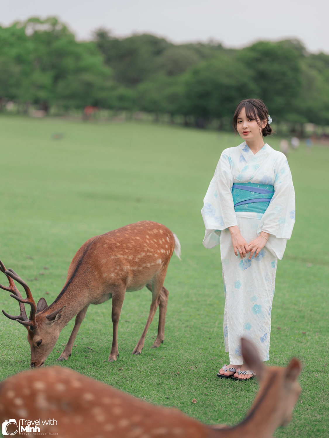 One day in nara (63)