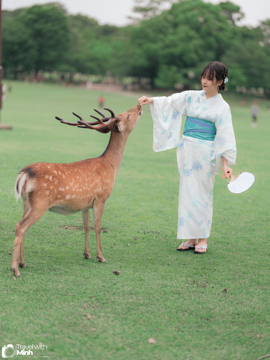 One day in nara (65)