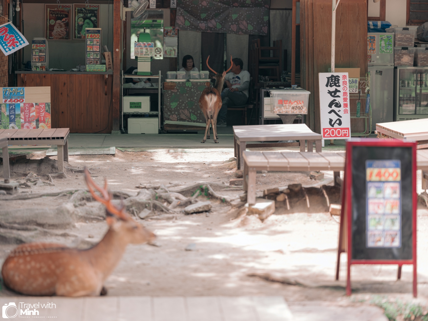 One day in naradscf7851