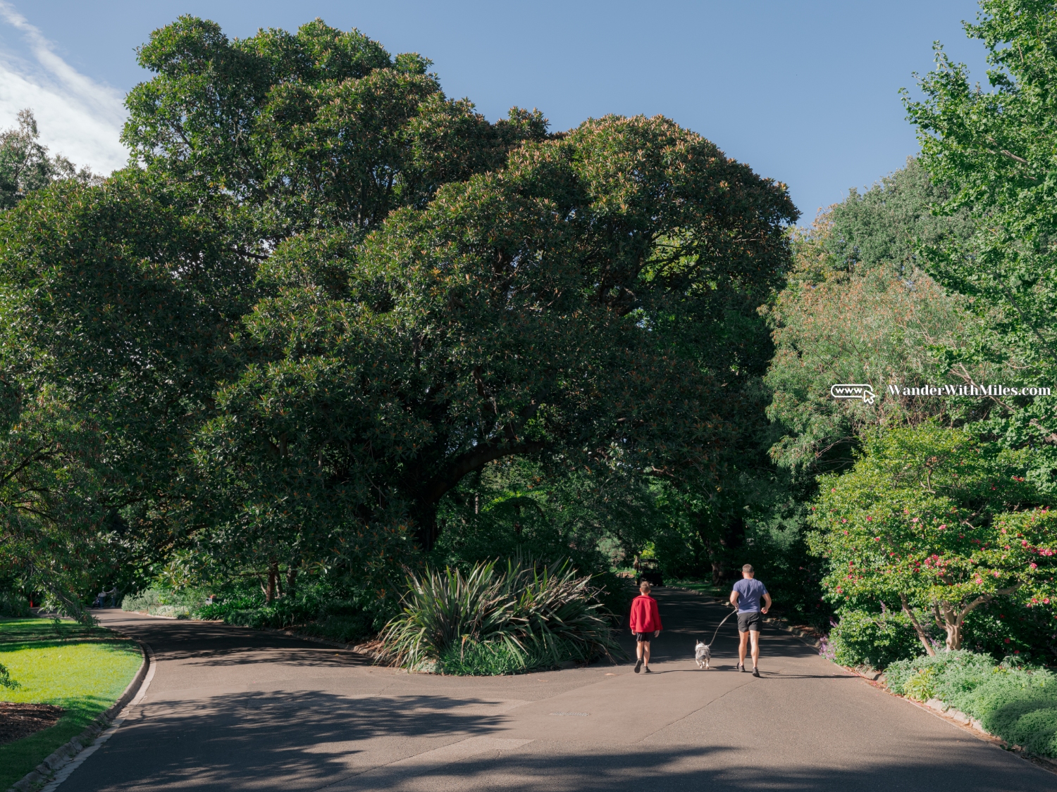 South botanic garden (2)