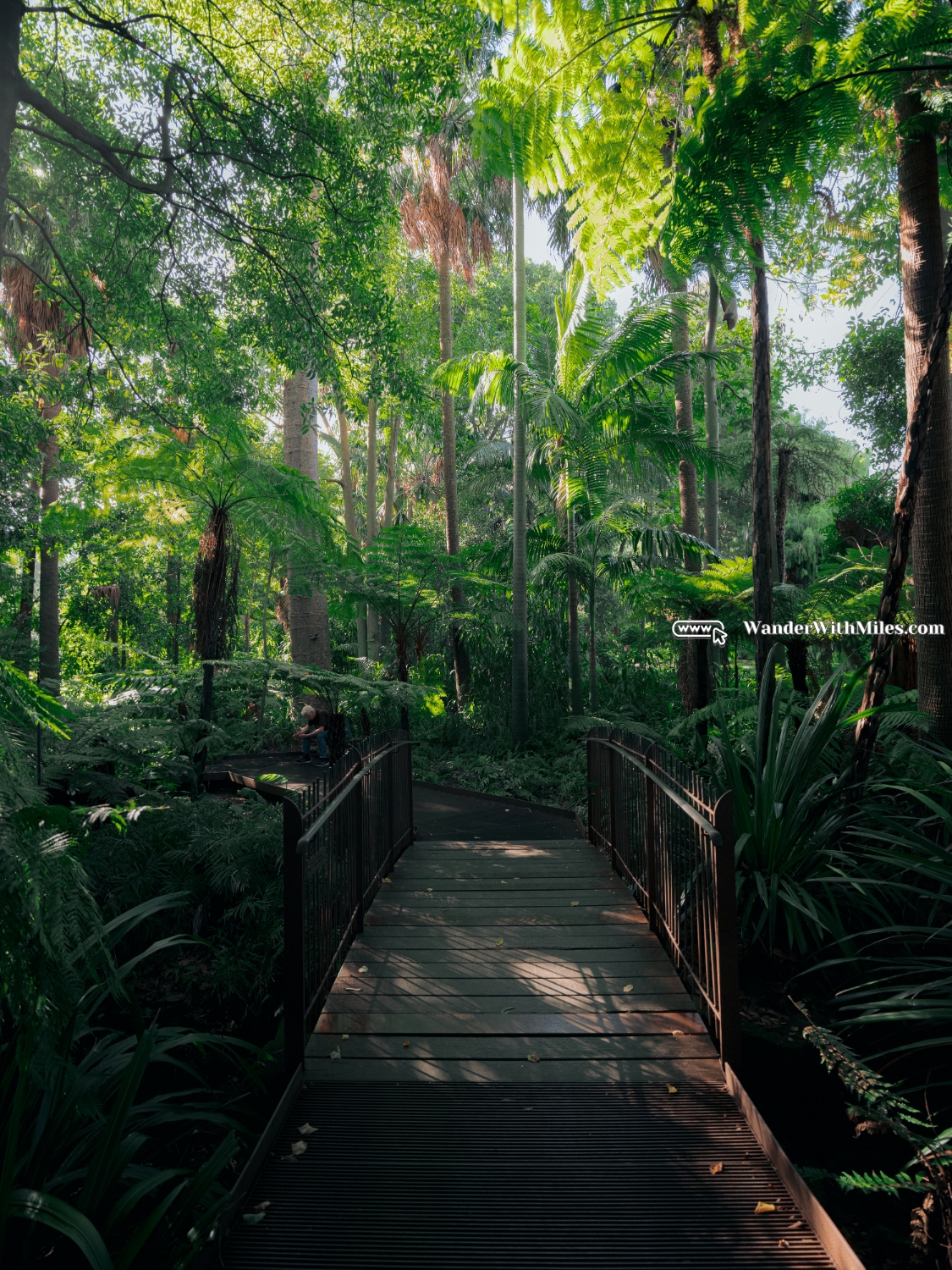 South botanic garden (3)